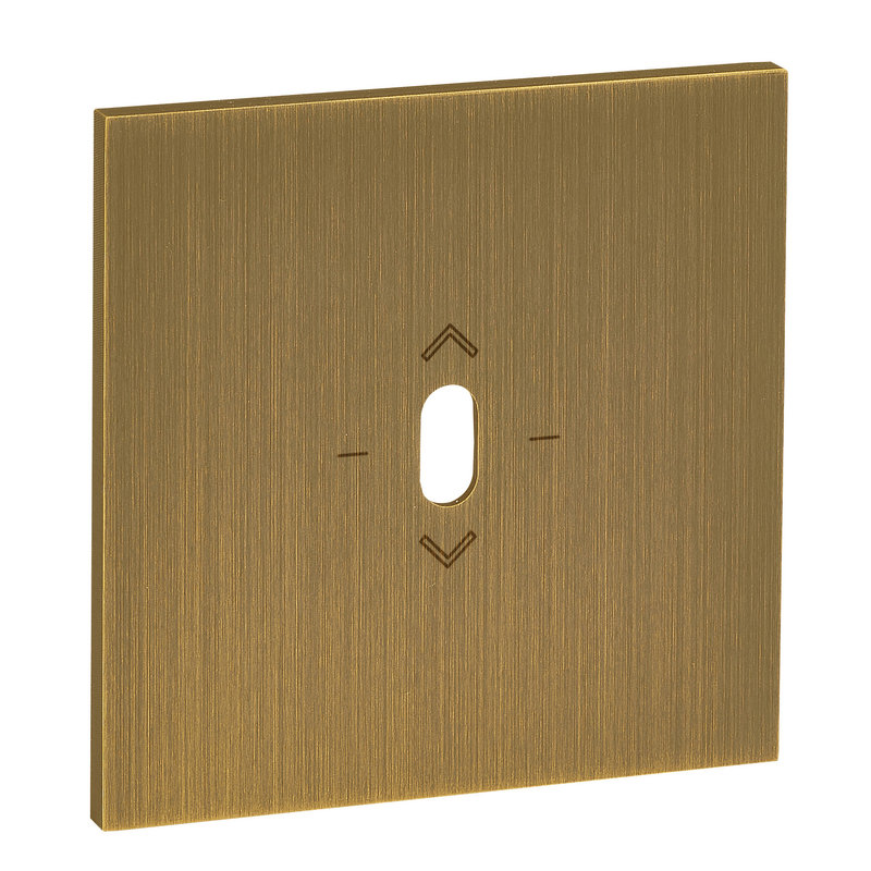 Legrand ARP67321 - Plaque commande volet roulant Art d'Arnould à levier - 1 poste Epure Bronze