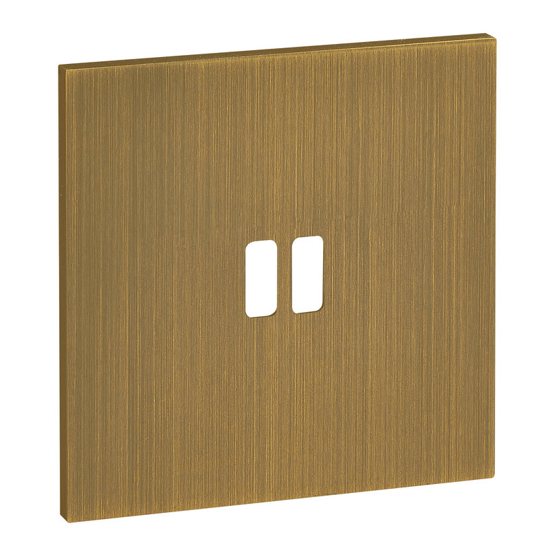 Legrand ARP67322 - Art d'Arnould univers Epure plaque de finition 2 USB - Bronze