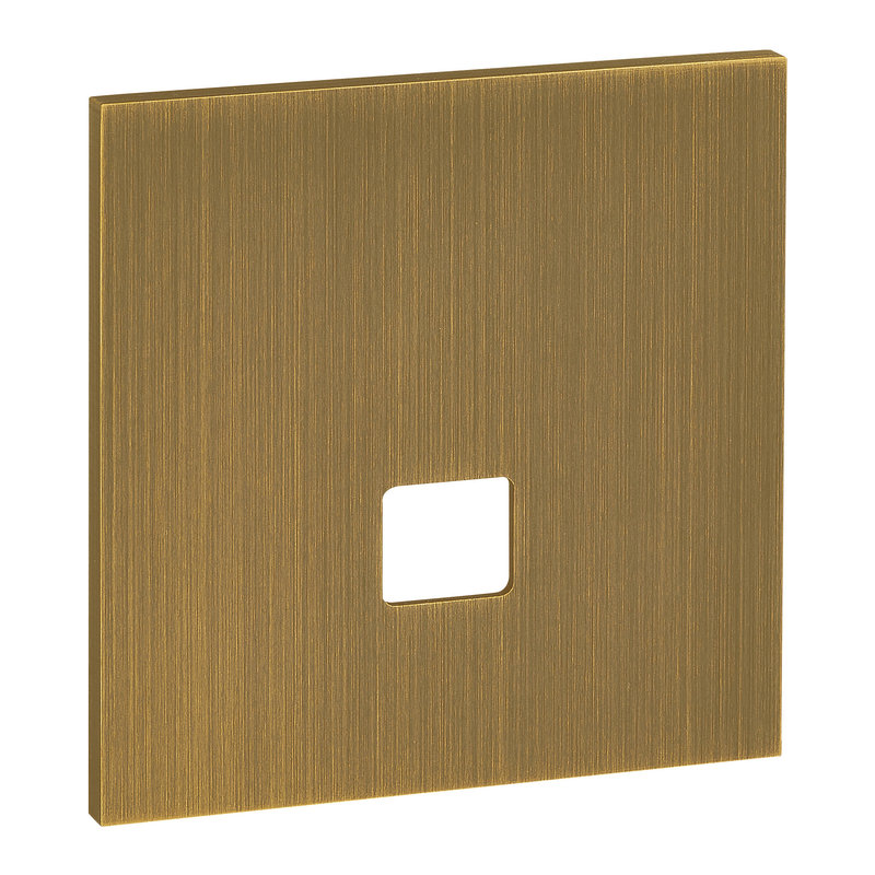 Legrand ARP67325 - Art d'Arnould univers Epure plaque de finition RJ45 - Bronze
