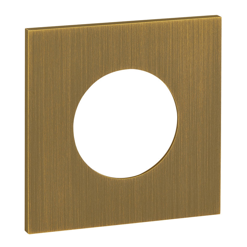 Legrand ARP67331 - Art d'Arnould univers Epure plaque de finition 2P+T - Bronze