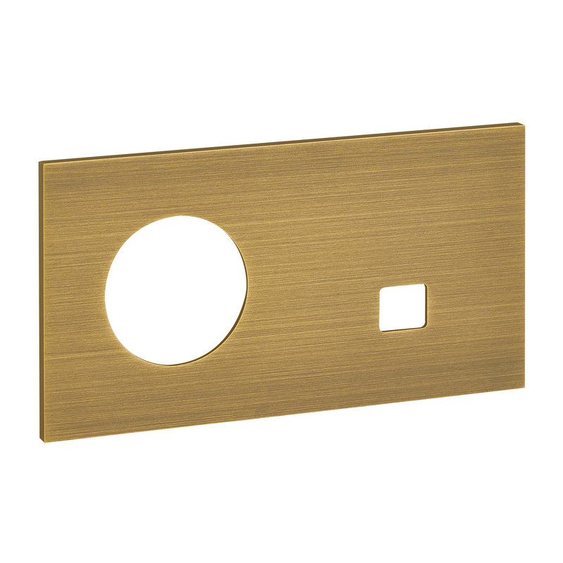 Legrand ARP67338 - Art d'Arnould univers Epure plaque de finition 2P+T + RJ45 - Bronze
