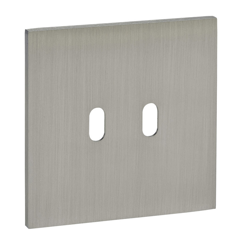 Legrand ARP67402 - Art d'Arnould univers Epure plaque de finition 2 leviers - Acier brossé