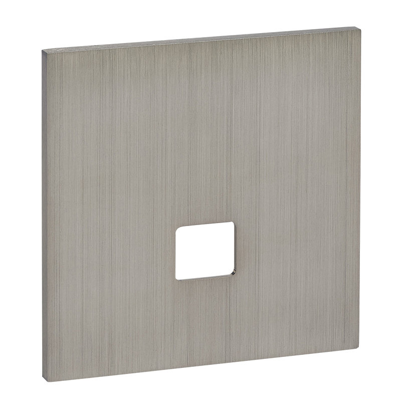 Legrand ARP67425 - Art d'Arnould univers Epure plaque de finition RJ45 - Acier brossé
