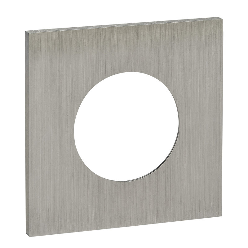 Legrand ARP67431 - Art d'Arnould univers Epure plaque de finition 2P+T - Acier brossé