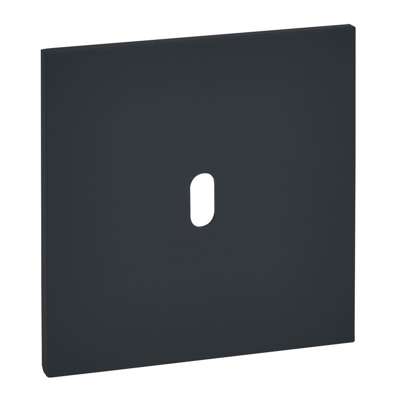 Legrand ARP67801 - Art d'Arnould univers Epure plaque de finition 1 levier - Noir mat