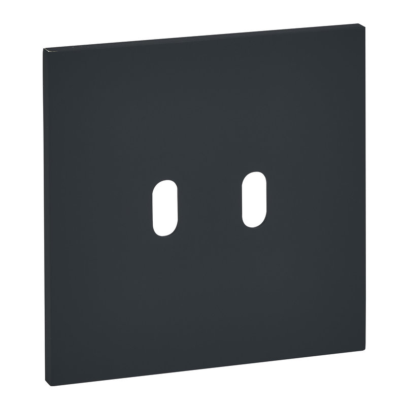 Legrand ARP67802 - Art d'Arnould univers Epure plaque de finition 2 leviers - Noir mat