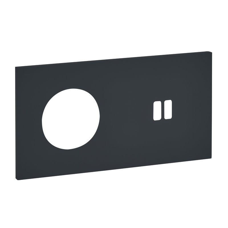 Legrand ARP67816 - Art d'Arnould univers Epure plaque de finition 2P+T + USB - Noir mat