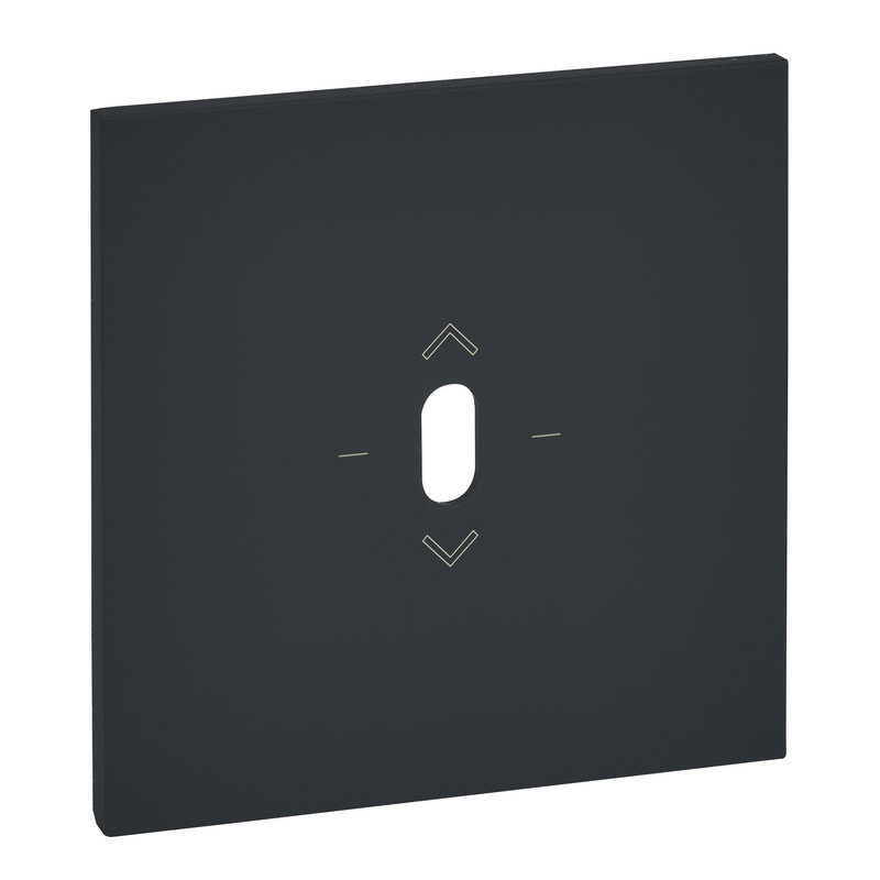 Legrand ARP67821 - Plaque commande volet roulant Art d'Arnould à levier - 1 poste Epure Noir mat