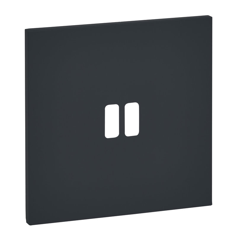 Legrand ARP67822 - Art d'Arnould univers Epure plaque de finition 2 USB - Noir mat