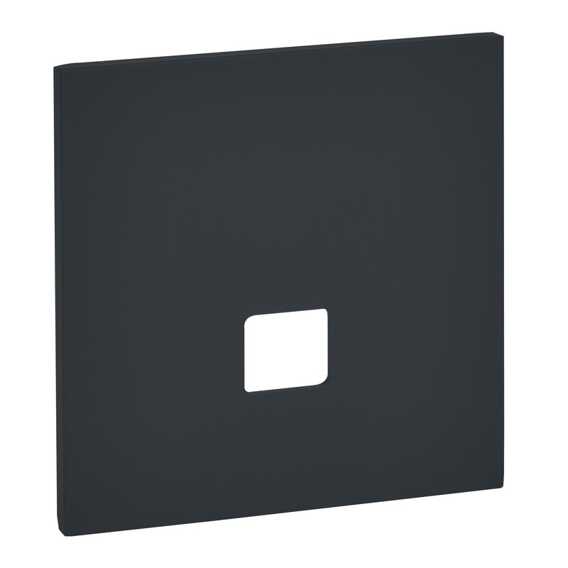 Legrand ARP67825 - Art d'Arnould univers Epure plaque de finition RJ45 - Noir mat