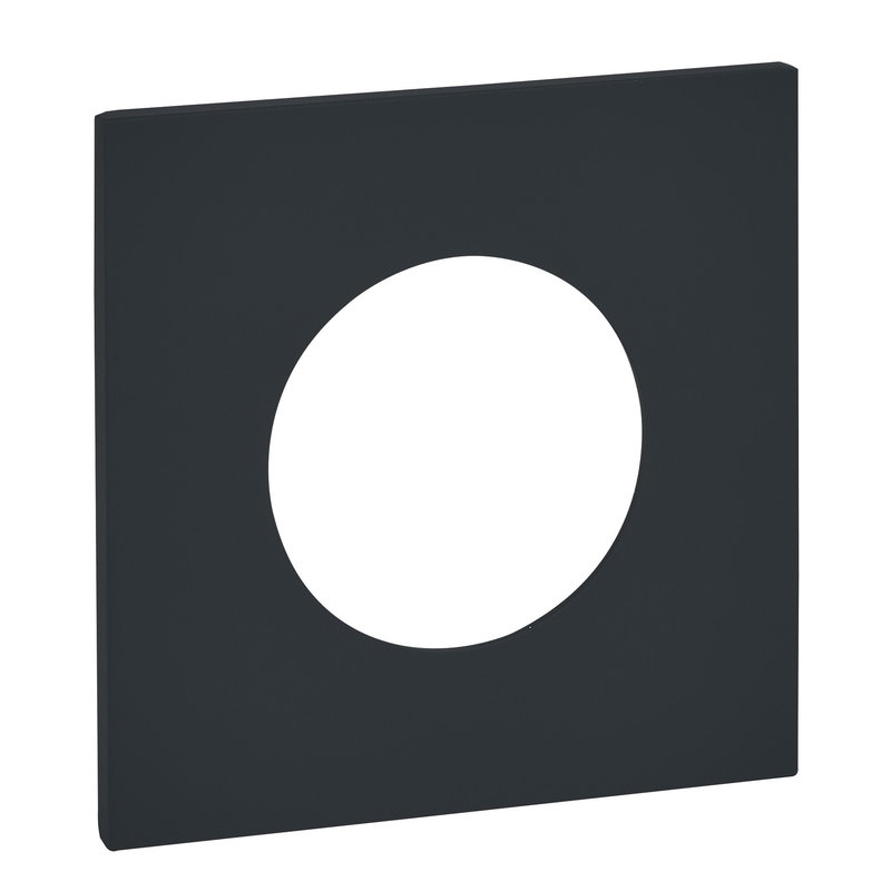 Legrand ARP67831 - Art d'Arnould univers Epure plaque de finition 2P+T - Noir mat
