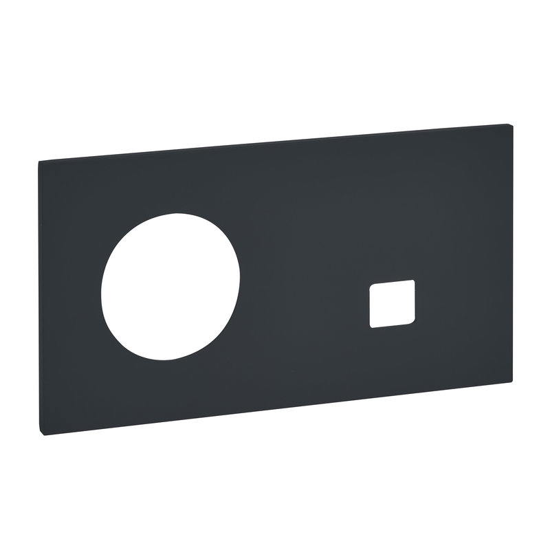 Legrand ARP67838 - Art d'Arnould univers Epure plaque de finition 2P+T + RJ45 - Noir mat