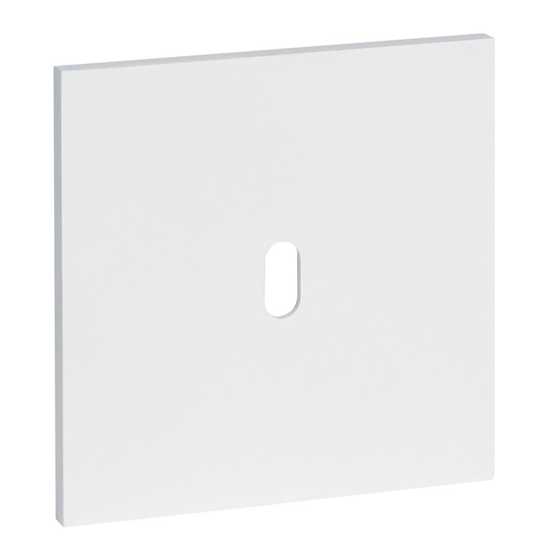 Legrand ARP67901 - Art d'Arnould univers Epure plaque de finition 1 levier - Blanc satin