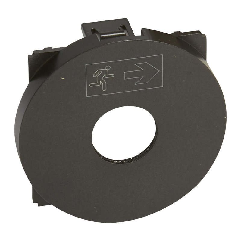 Legrand 067929 - Enjoliveur Céliane pour interrupteur à clé pour BAES - finition graphite