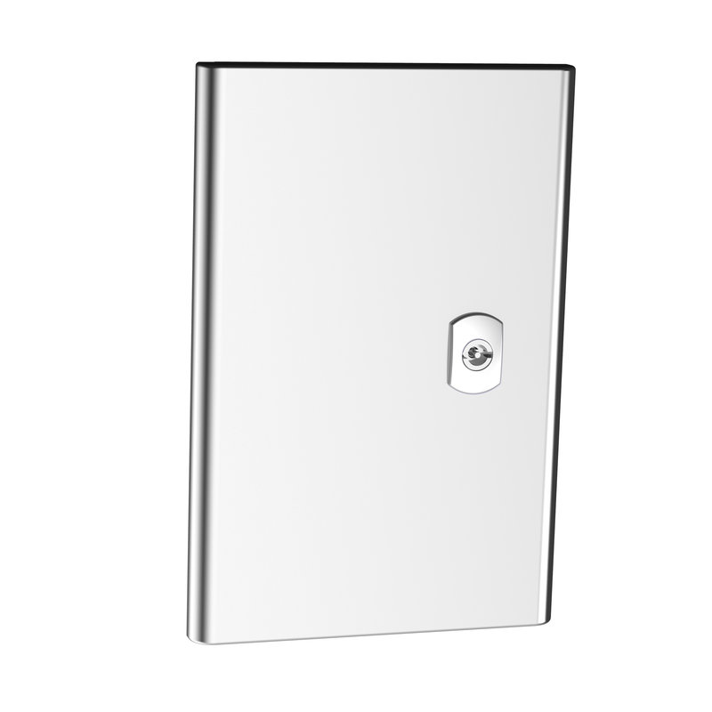 Legrand 980147 - Porte complète pour coffret Atlantic inox 304L 300x200mm