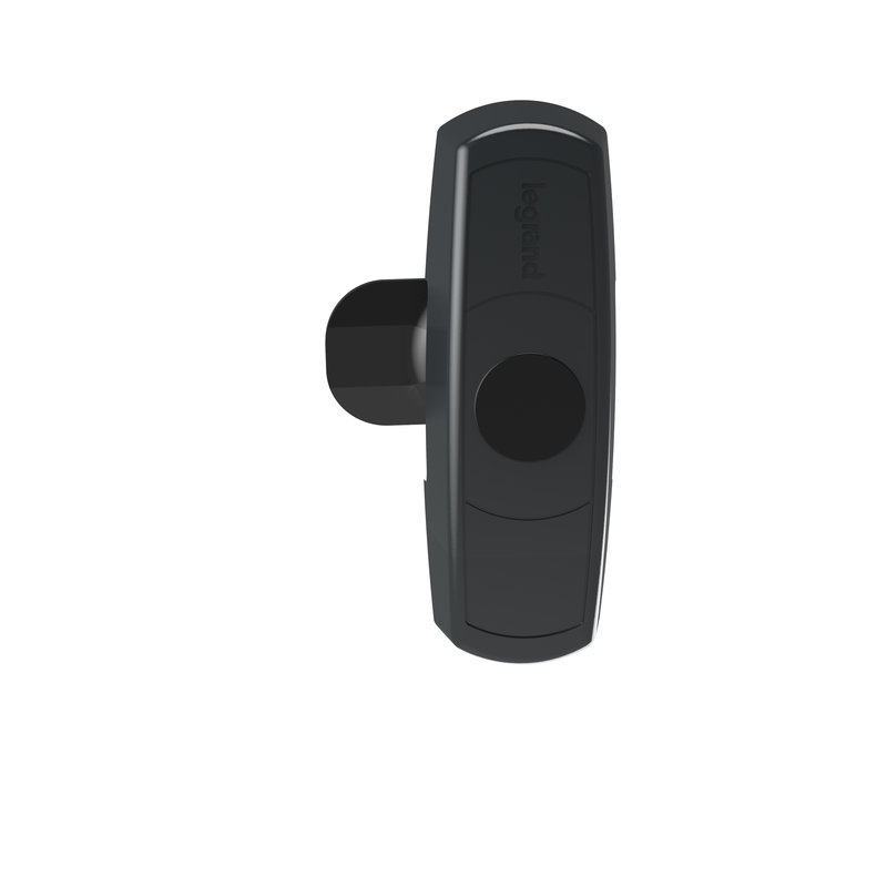 Legrand 980315 - Fermeture pour porte arrière baie serveur LCS³ 42U