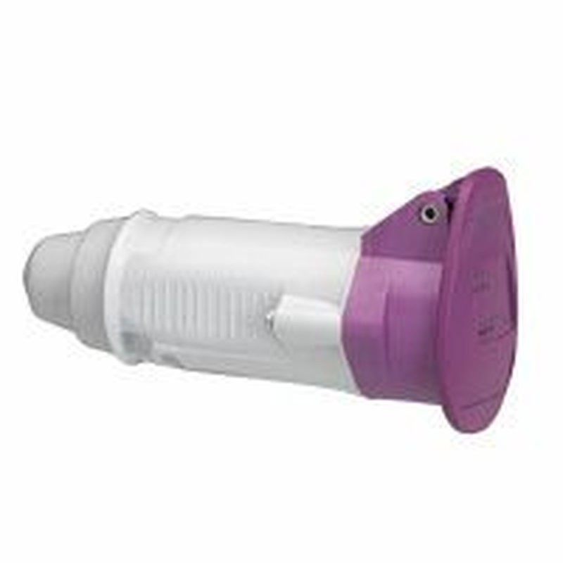 Legrand 055281 - Prise mobile P17 IP44 32A - 20V~ à 25V~ - 2P
