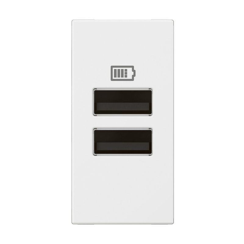 Legrand 571684 - CHARGEUR 1 MODULE 2 PRISES USB TYPE A 15W BLANC