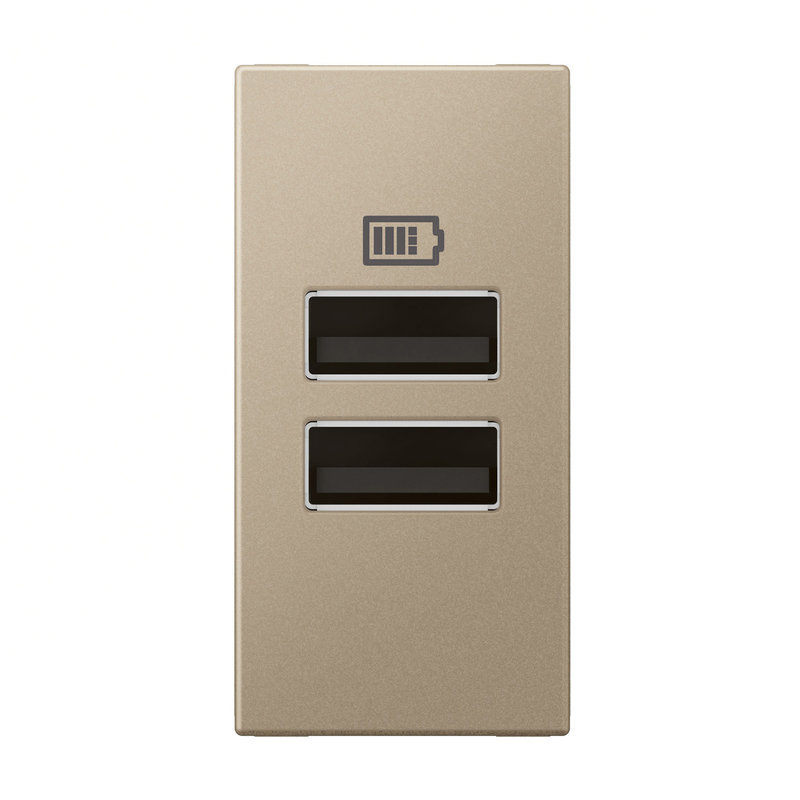 Legrand 571686 - CHARGEUR 1 MODULE 2 PRISES USB TYPE A 15W CHAMPAGNE