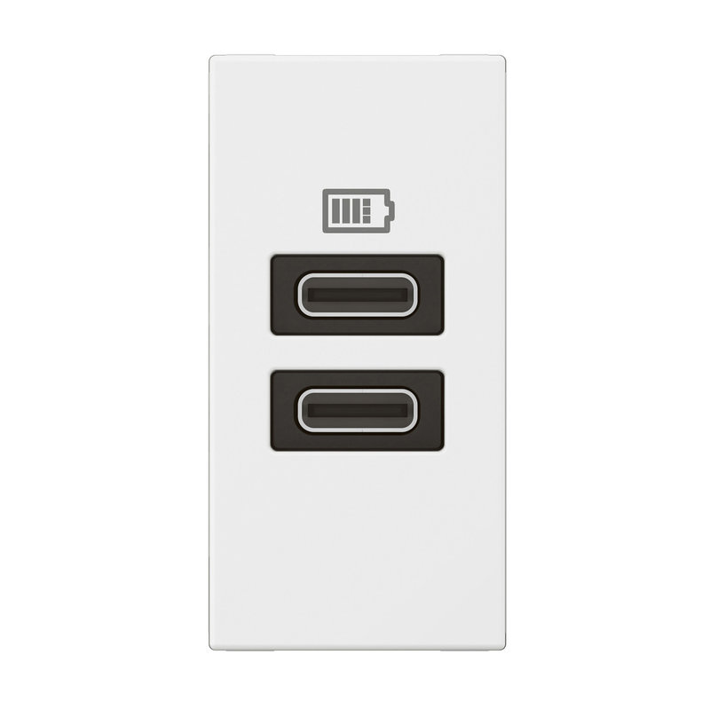 Legrand 571692 - CHARGEUR 1 MODULE 2 PRISES USB TYPE C 15W BLANC