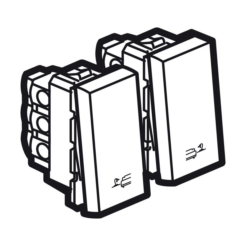 Legrand 573796 - 2 WAYS PUSH FOR BED LIGHTS 2 MODULES WIT H ICONS SQ MAG.