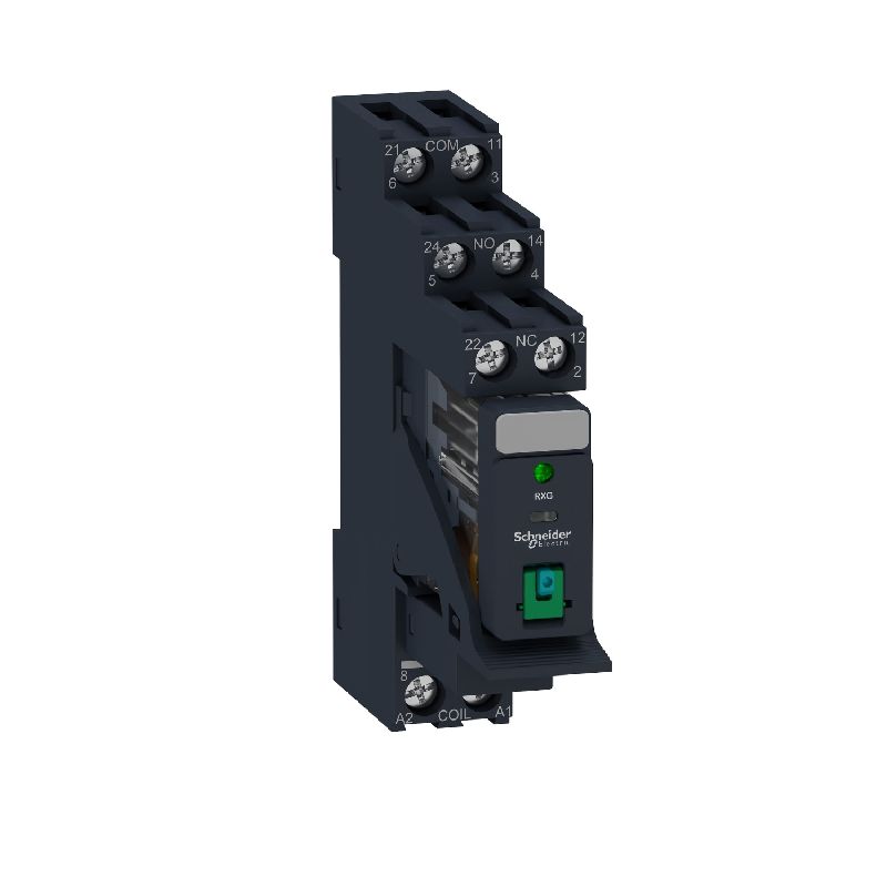 Zelio Relay RXG - relais embroc monté sur embase - RXG22BDPV