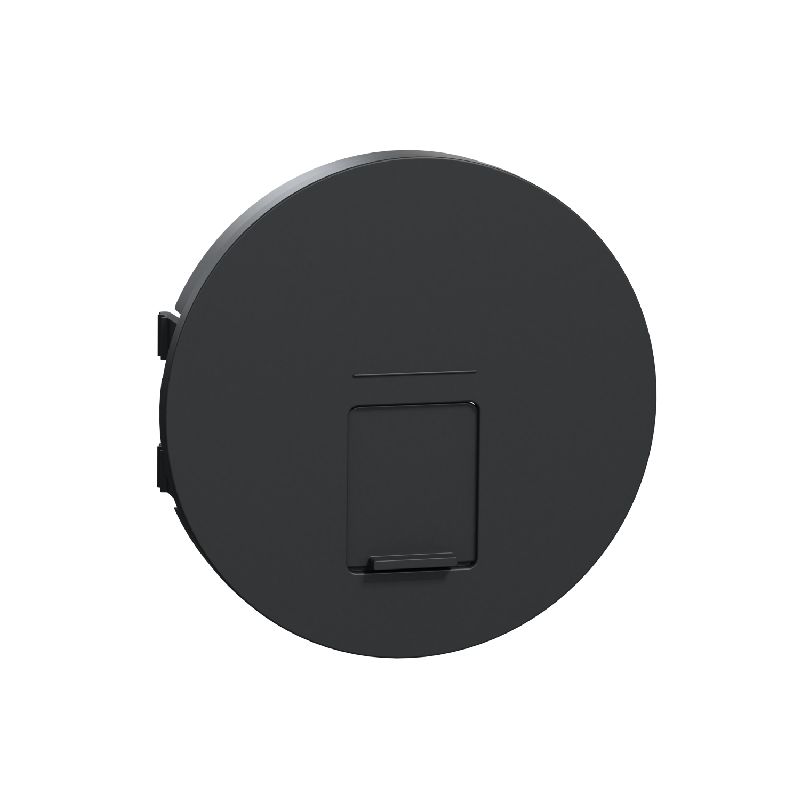 Odace Anthracite, enjoliveur seul prise RJ45 simpl S540671