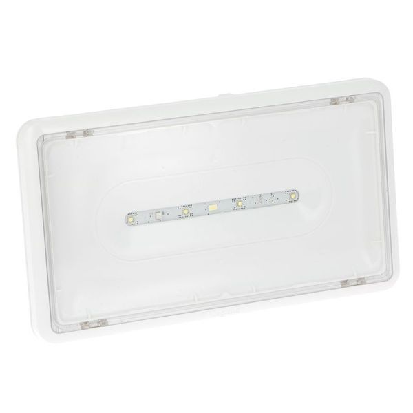 Lsc Evacuation A Leds Plastique Ip43 Ik0 7 24 V Dc legrand 062815