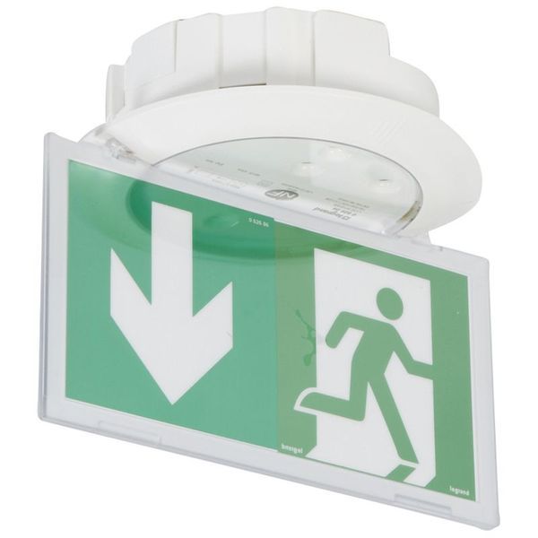 Luminaires Source Centrale Evacuation A Leds Kickspot Ip40 I legrand 062924