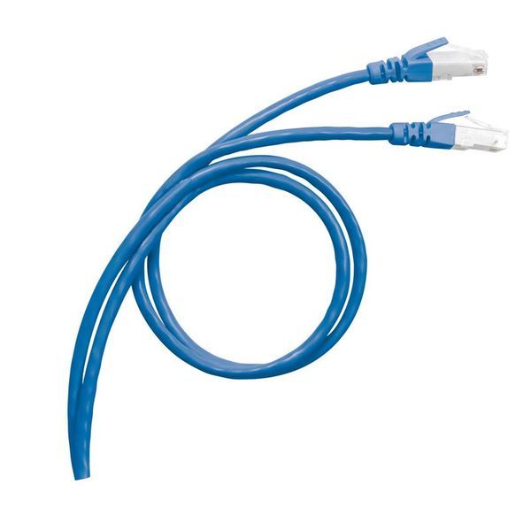 Cordon Rj45/Rj45 Standard Cat6 Sf/Utp Pvc Bleu 2 M legrand 051753