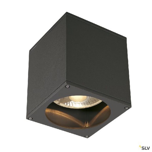 [DC229555] BIG THEO, plafonnier extérieur, anthracite, GU10/QPAR111, 75W max, IP44 229555