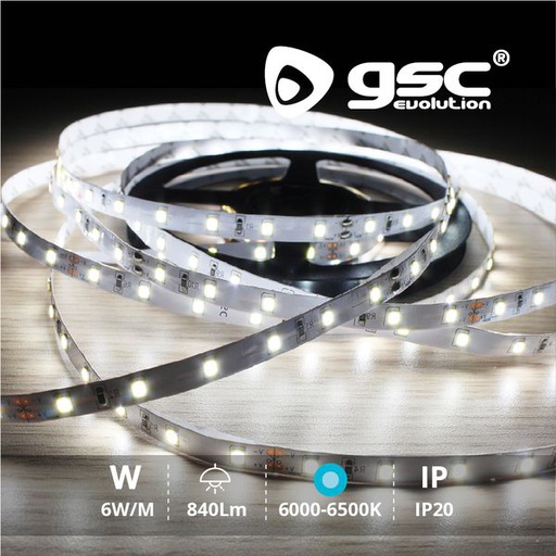 [GC001504586] Rouleau 5M LED SMD2835 (6W) 6000K-6500K IP20 24V | 001504586