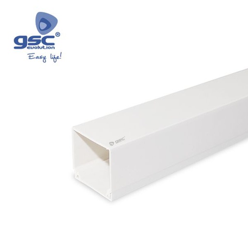 [GC000303359] Goulotte de fixation à vis PVC 40x100mm 2M | 000303359