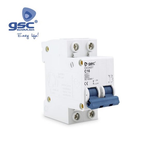 [GC000403682] Double module magnétothermique 2P 20A | 000403682