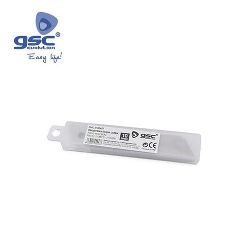 [GC002100457] Rechange 10 lames acier inox. Pour 21675 et 21456 | 002100457