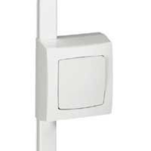 [LEG031409] Cadre 1P H20/20-32-40-60-75 Blanc Sur Moulure legrand 031409