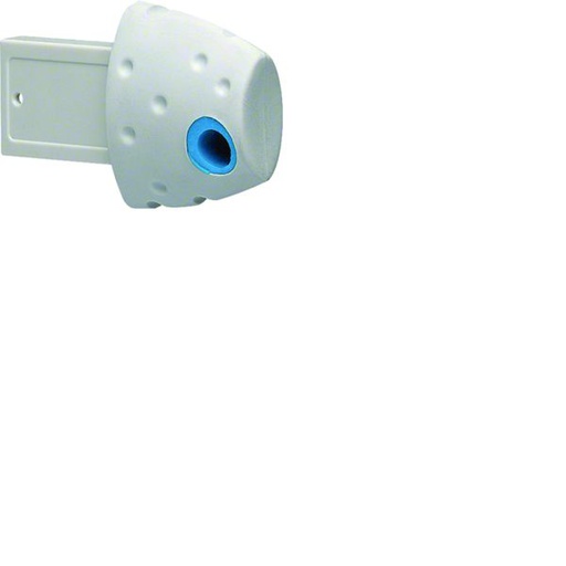[HAG-EG005] Clé de programmation vierge pour EG103X ET EG203X EG005
