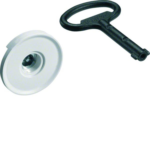 [HAG-FZ449N] Serrure à panetton double 3mm chromée avec 1 clé pour armoire univers IP44/54 FZ449N