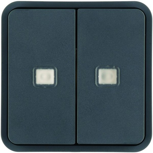 [HAG-WNT954] Cubyko 2 touches KNX à voyants coloris gris WNT954