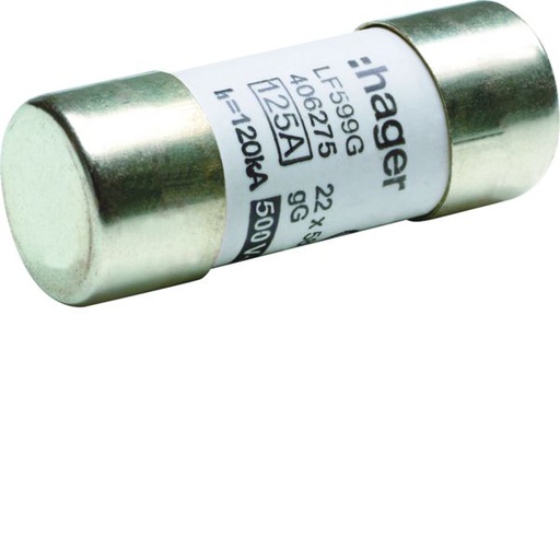 [HAG-LF599G] Cartouche Fusible cylindrique 22x58mm gG 125A 500V AC 120kA LF599G
