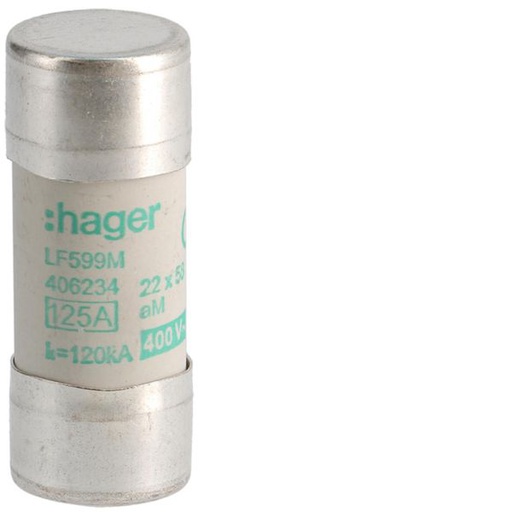 [HAG-LF599M] Cartouche fusible industrielle 22x58 aM 125A LF599M