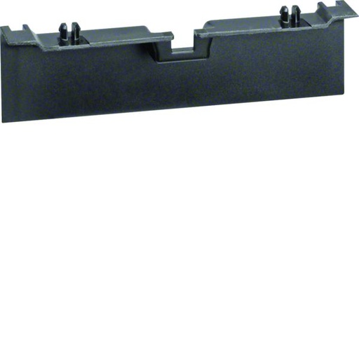 [HAG-SL20080A9011] Pièce de recouvrement pour support double pour plinthe SL 20x80mm Graphite Noir SL20080A9011