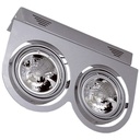 Luminaire  PROJ.ORIENT. 2XAR111 50W+ALIM