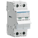 Interrupteur sectionneur 63A 2P 2 modules SBN263