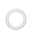 Ampoule Lumilux  t9 circulaire L 22w/840 c g10q - 581082