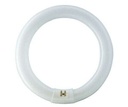 Ampoule Master TL-E Circular 22W_865 Philips 840537 840537 Philips