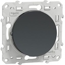 Odace, va-et-vient Anthracite, 10 A, à vis S540204