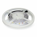 Ruban LED 60 leds/m 1200lm/m 18W/m 4500k 12v IP20 5m 2458