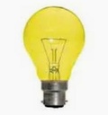 Standard Anti Insectes B22 60W 230V