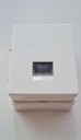 RJ45 saillie - Galion blanc